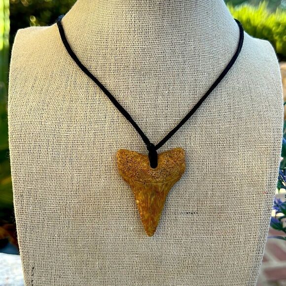 Shark’s Tooth Necklace - Picture 9 of 9